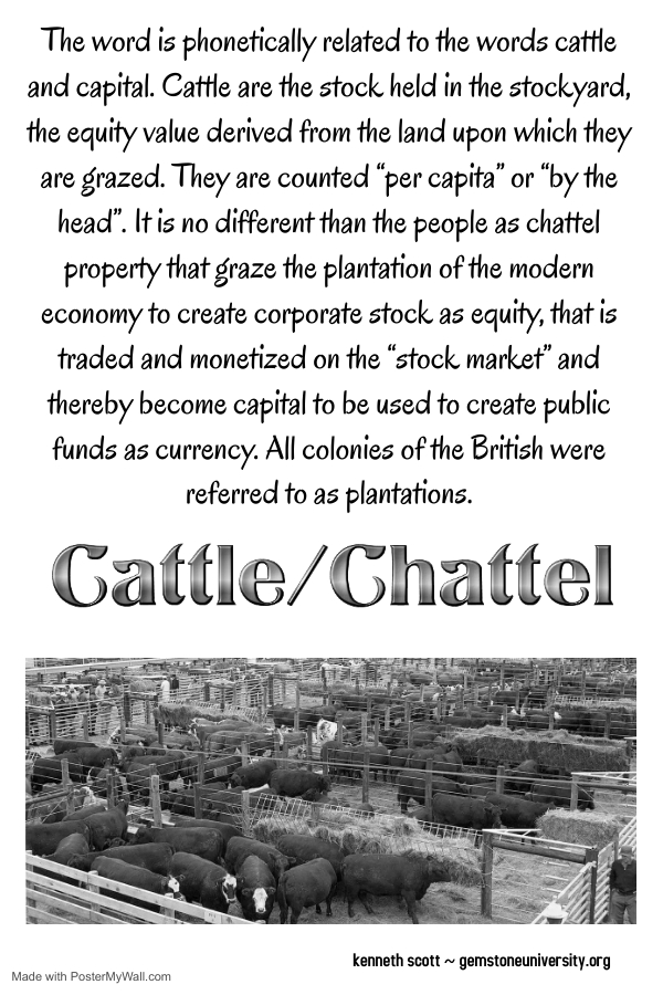 Random Image Display